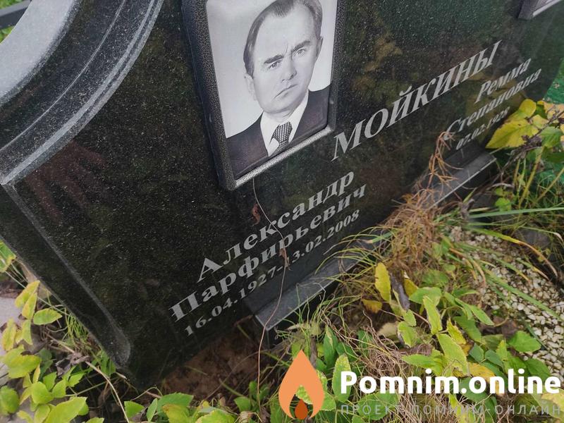 Мойкин Александр Парфирьевич