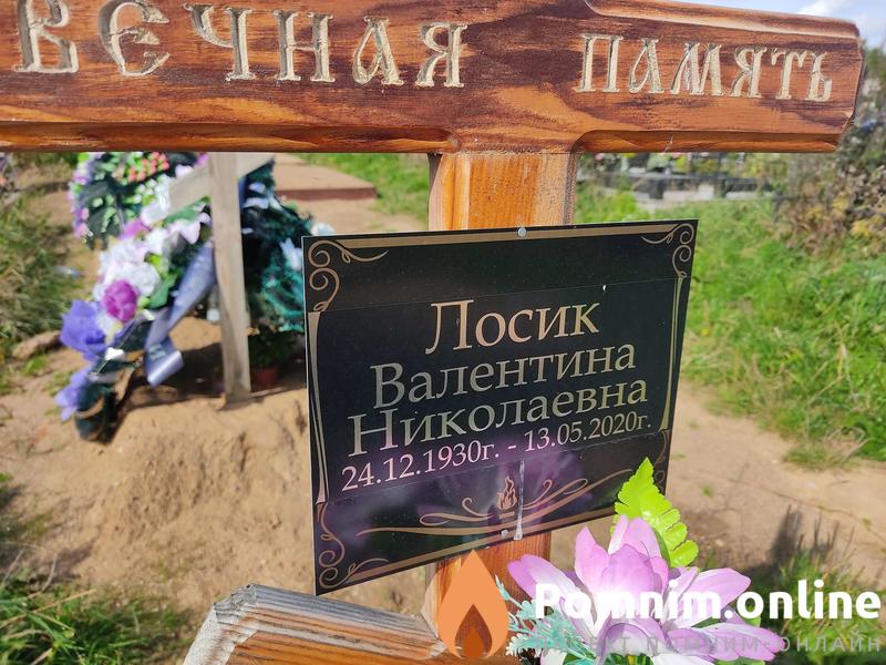 Лосик Валентина Николаевна