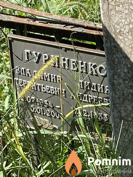 Гуриненко Владимир Терентьевич