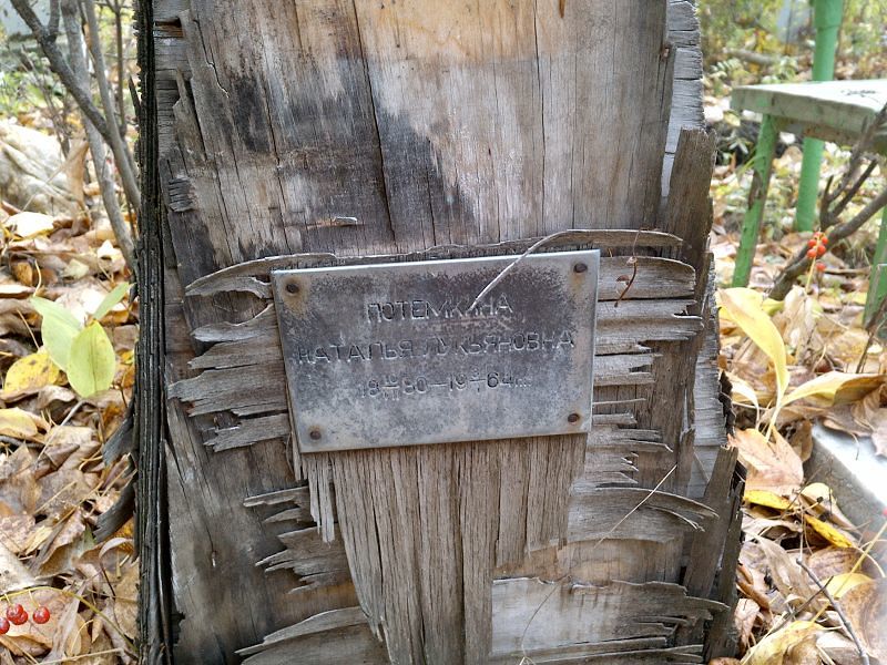 Потемкина