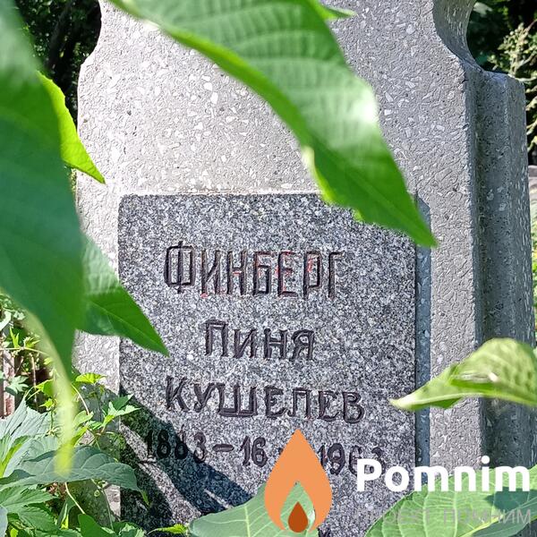 Финберг Пиня Кушелев