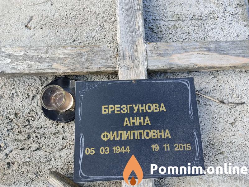 Брезгунова Анна Филипповна