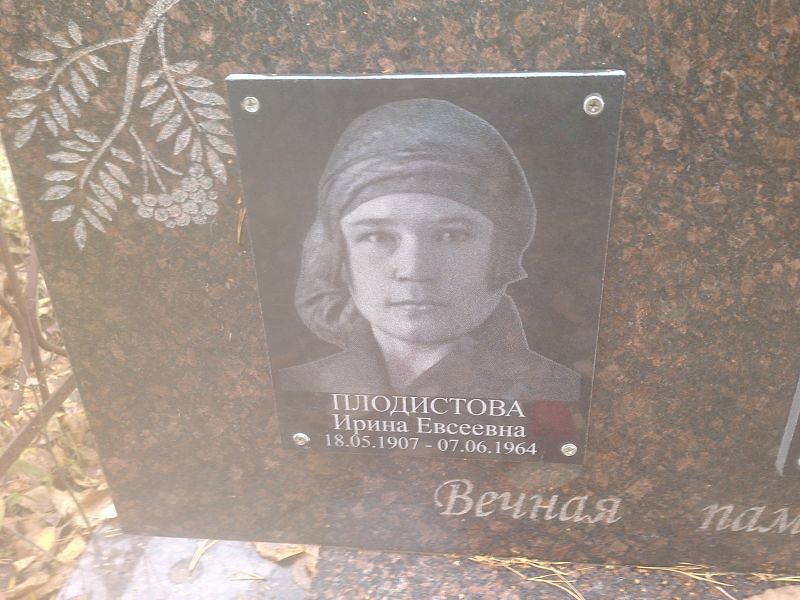 Плодистова