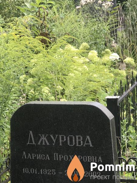 Джурова Лариса Прохоровна