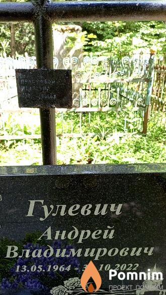 Гулевич Андрей Владимирович