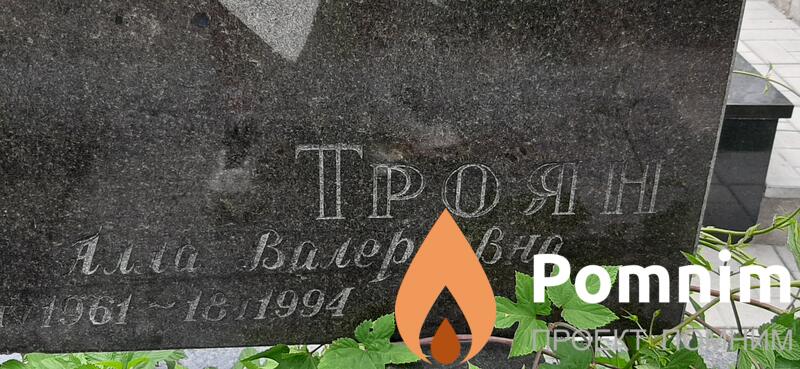 Троянн Алла Валерьевна