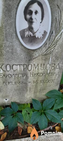 Костромцова Елизавета Николаевна