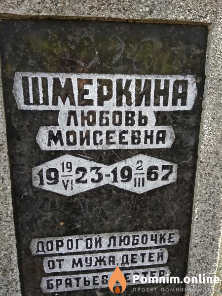 Шмеркина Любовь Моисеевна
