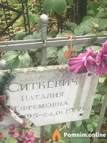 Ситкевич Наталия Ефремовна