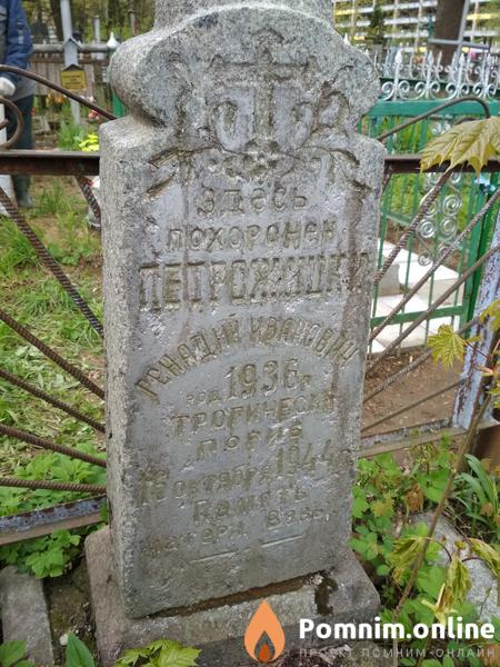 Петрожицкий Геннадий Иванович