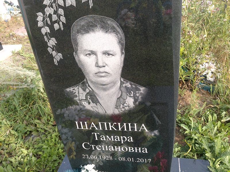 Шапкина