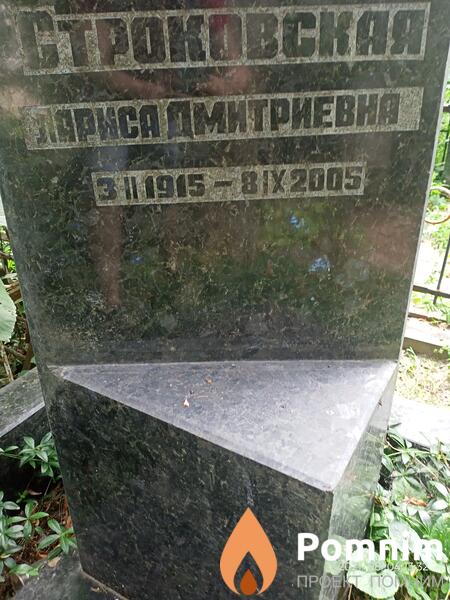 Строковская Лариса Дмитриевна