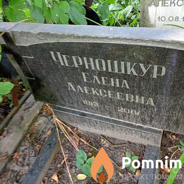 Черношкур Елена Алексеевна