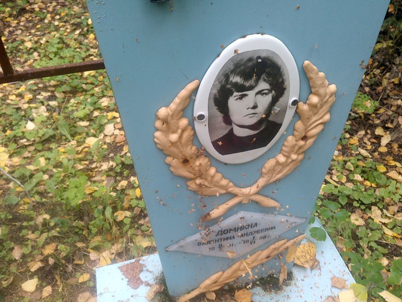 Домнина