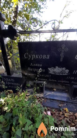 Суркова Алина Петровна