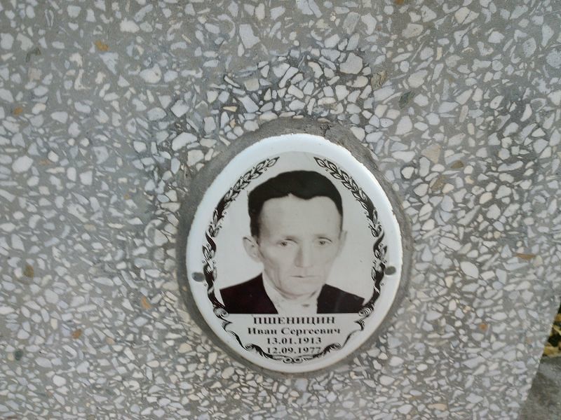 Пшеницин