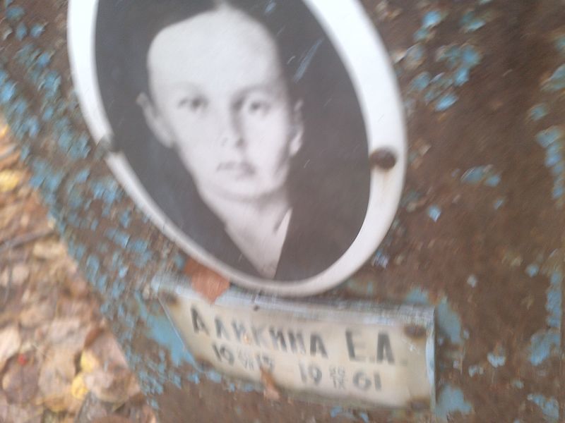 Е Аликина А