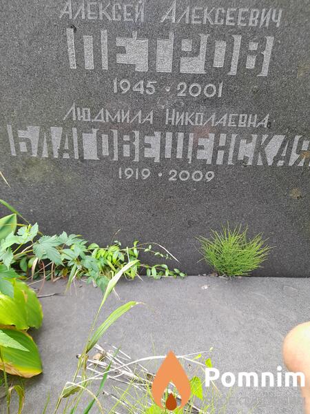 Благовещенская Людмила Николаевна