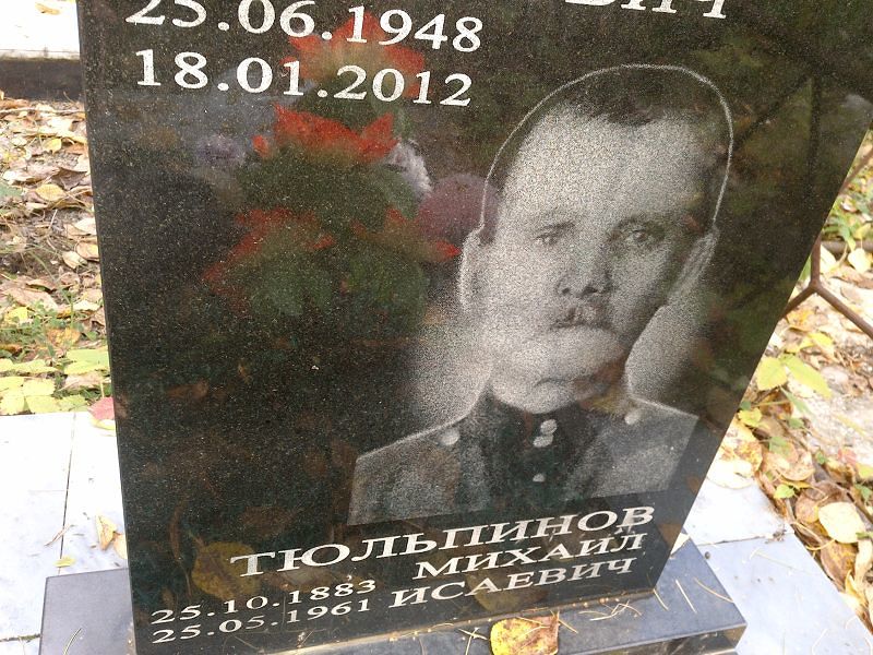Тюльпинов