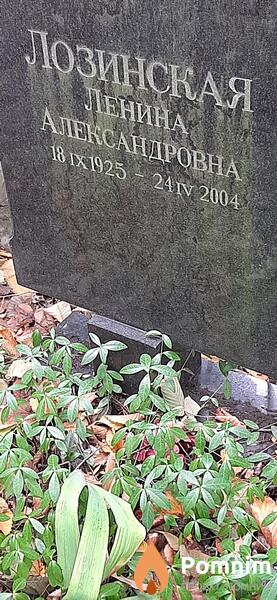 Лозинская Ленина Александровна