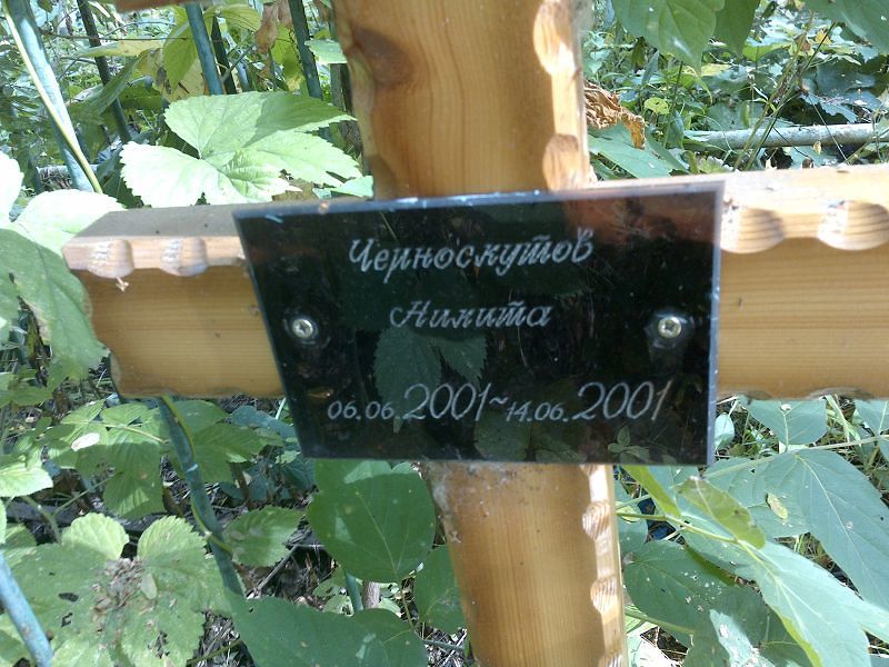 Черноскутов Никита
