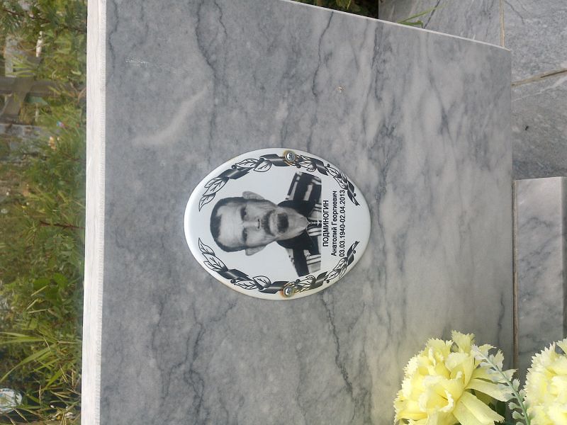 Подминогин