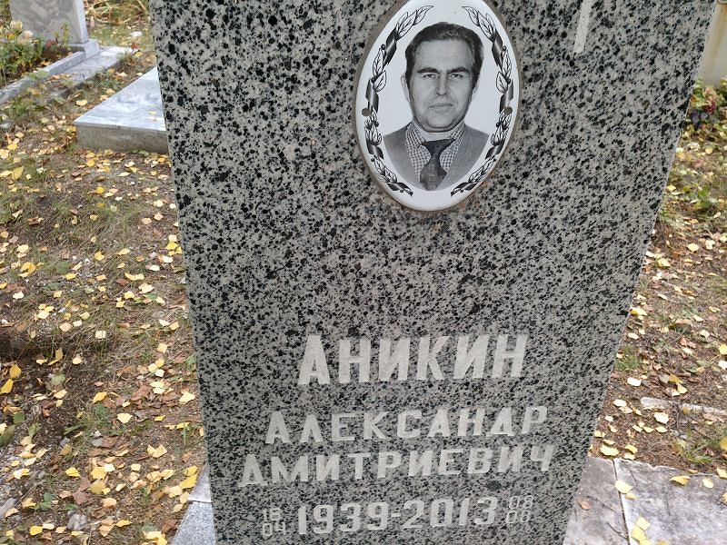 Аникин