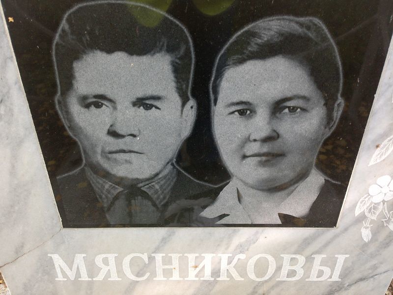 Мясников