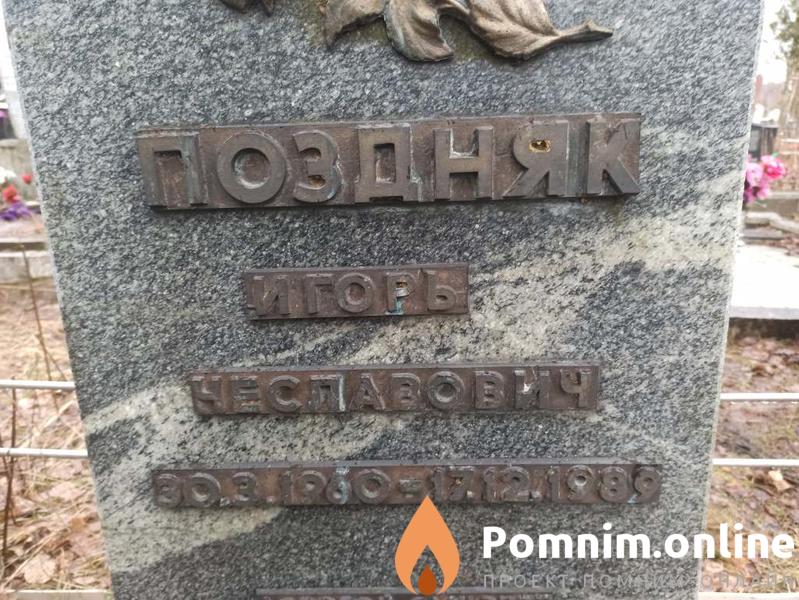 Поздняк Игорь Неславович