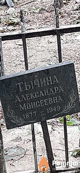 Тычина Александра Моисеевна