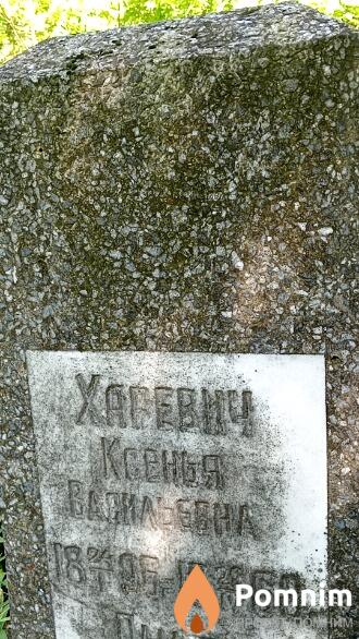 Харевич Ксения Васильевна