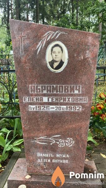 Абрамович Елена Генриховна