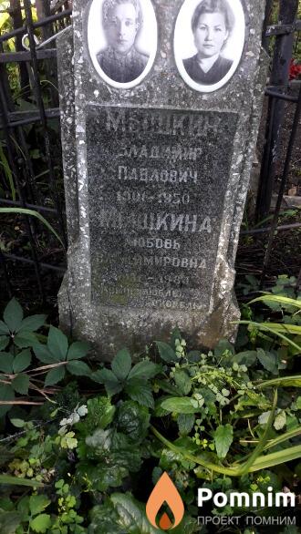 Мышкин Владимир Павлович