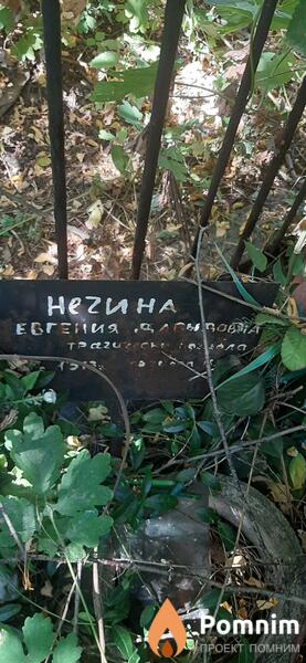 Негина Евгения Давыдовна