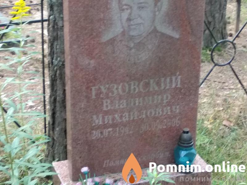 Гузовский Владиир Михайлович