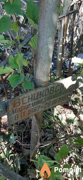 Венцковская Марфцелина Деамидовна