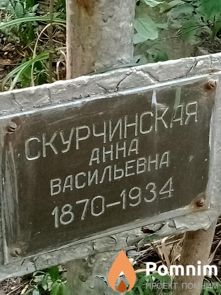 Скурчинская Анна Васильевна