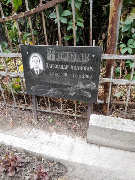 Волков Александр Иванович