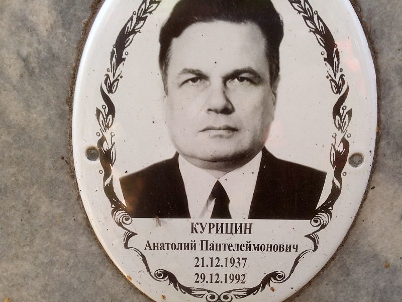 Курицин