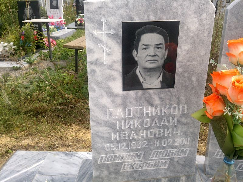 Плотников