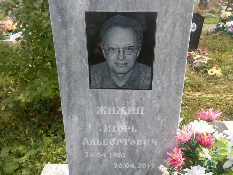 Жижин