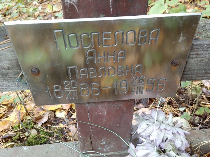 Поспелова