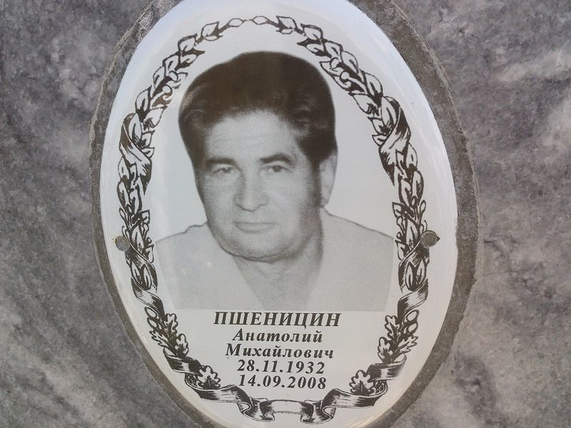 Пшеницин