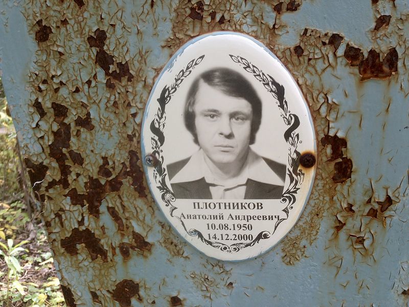 Плотников