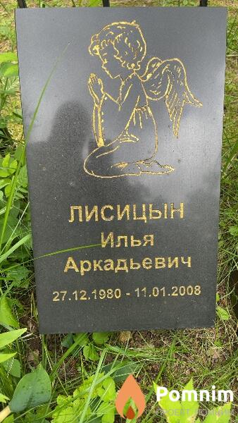 Лисицын Илья Аркадьевич