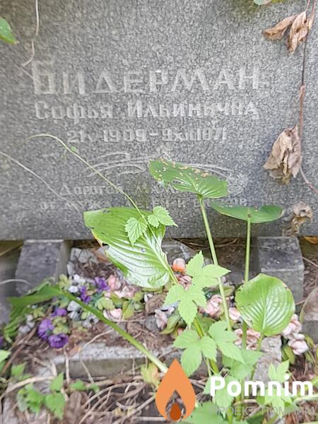 Бидерман Софья Ильинична