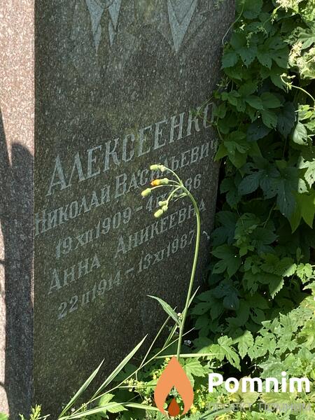 Алексеенко Анна Аникеевна