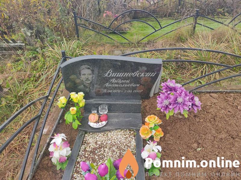 Вишневский Андрей Анатольевич