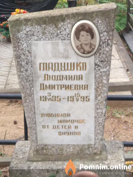 Гладушко Владимир Владимирович