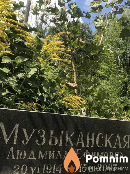 Музыканская Людмила Ефимовна